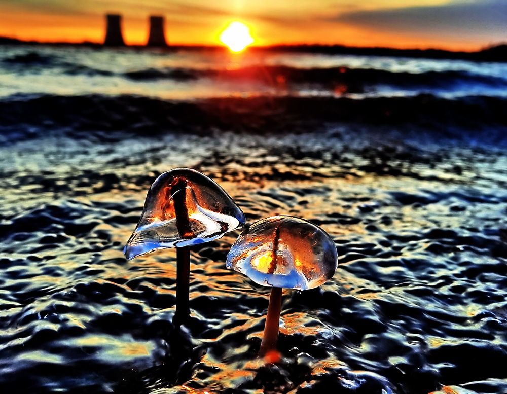 Photograph by Александр Лазебник