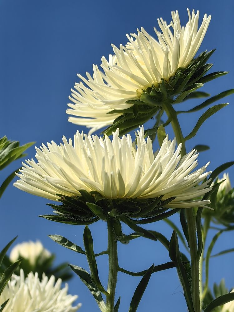 Photograph by OLGA MIKHNEVICH