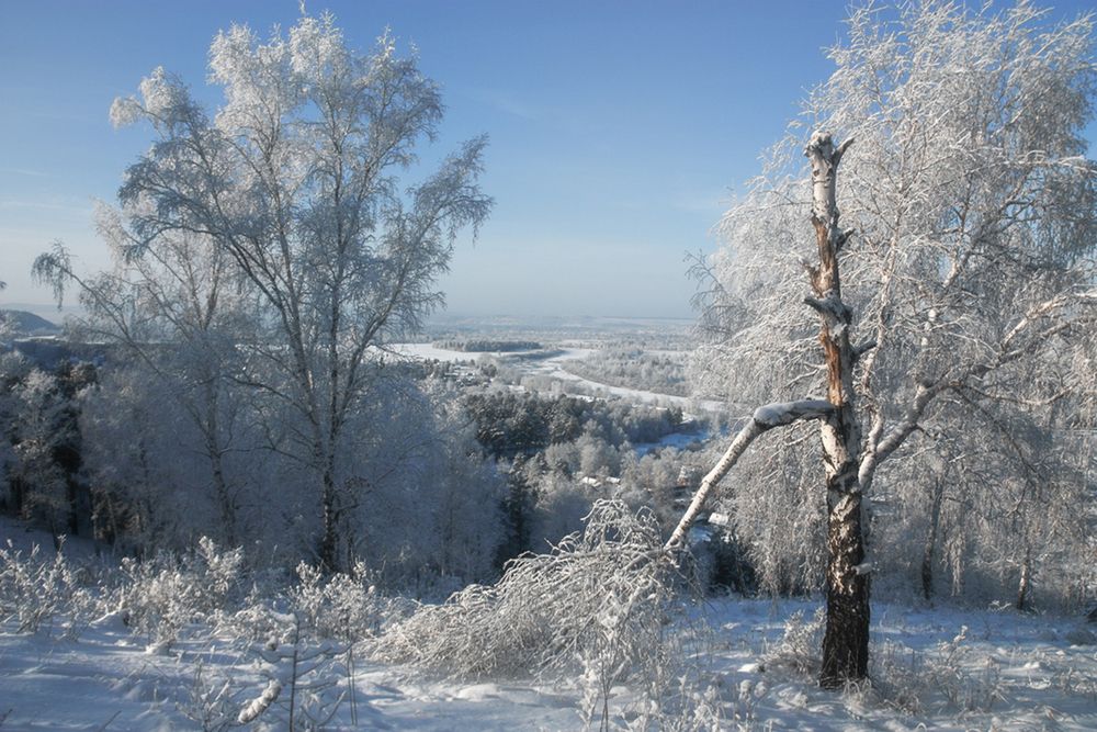 Photograph by Ольга Литвинцева