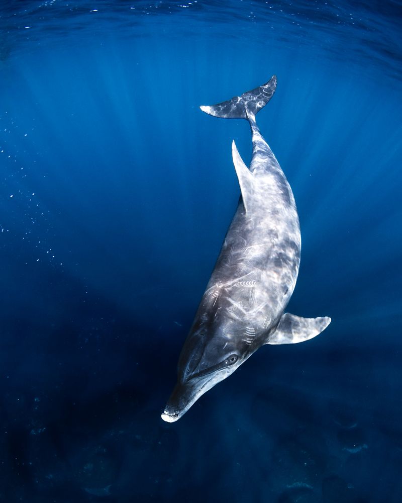 Photograph by nishijima takayuki