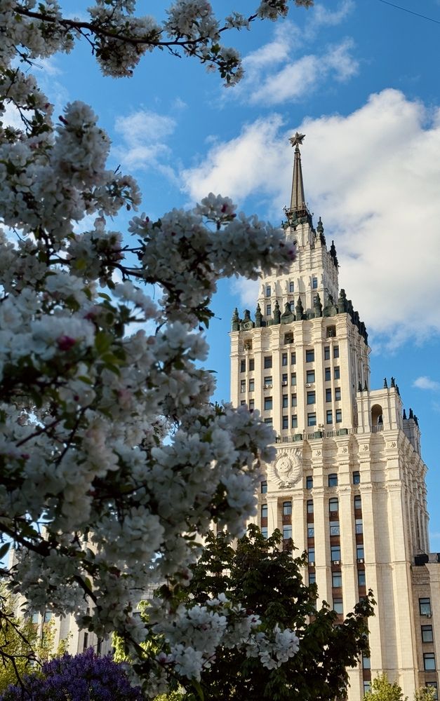 Photograph by Полина Ерофеева
