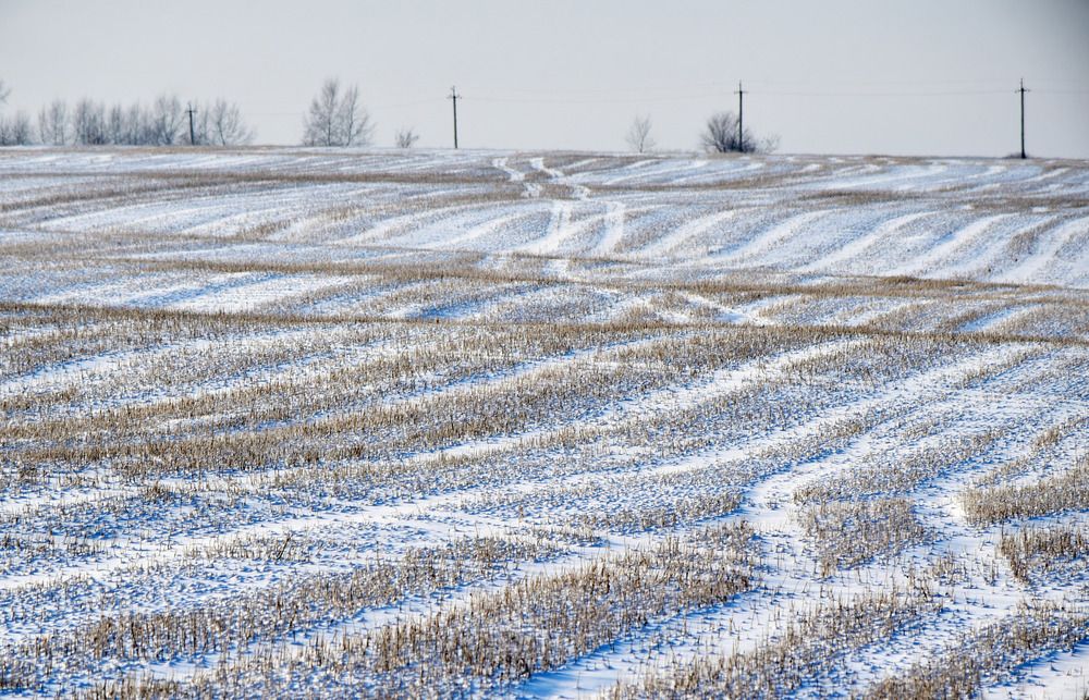 Photograph by Наталья Сорокина