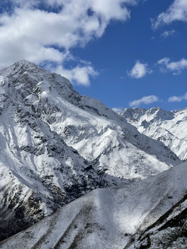 Photograph by Светлана Смук