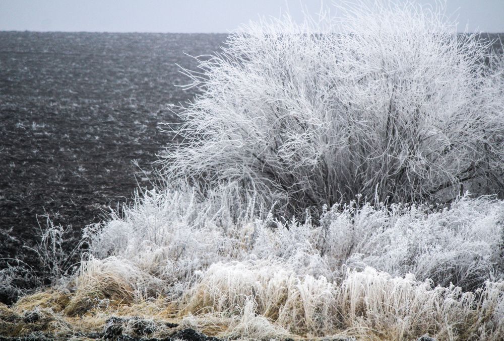 Photograph by Евгения Флиорчук