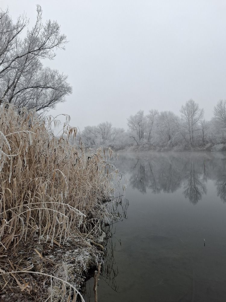 Photo #12983890