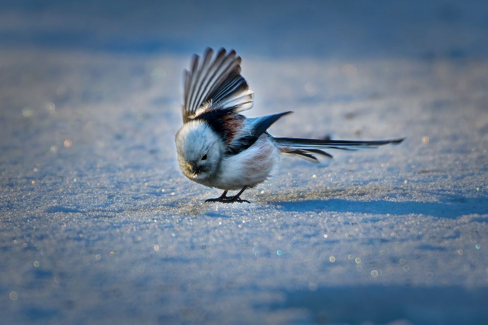 Photograph by Александр Перегудов