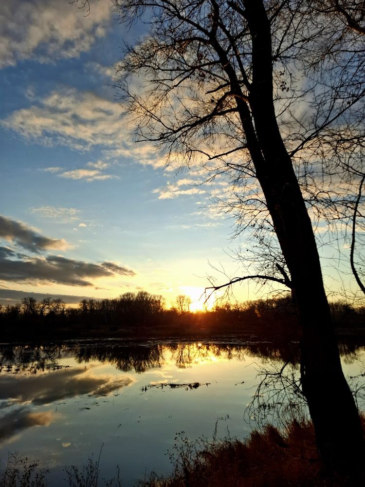 Photo #12983897