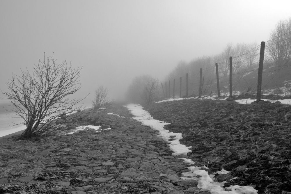 Photograph by Наталья Иванова