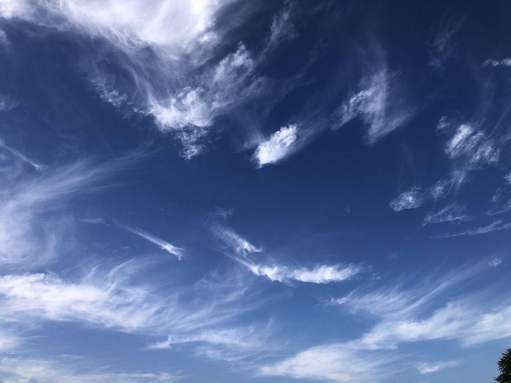 Фотография автора NARAYAN PATEL