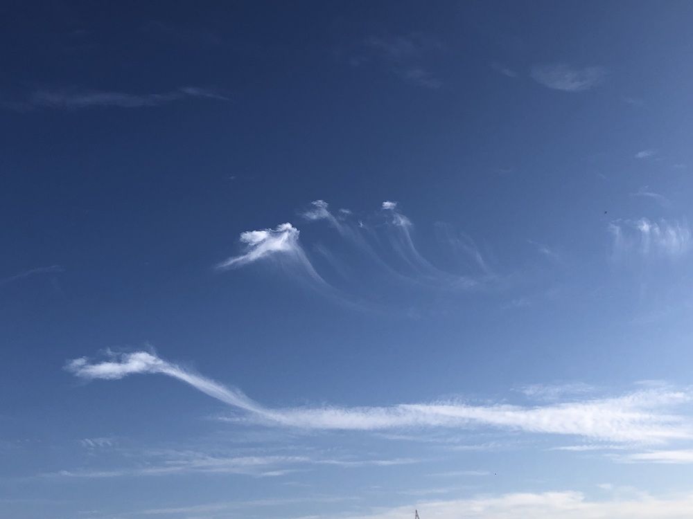 Фотография автора NARAYAN PATEL