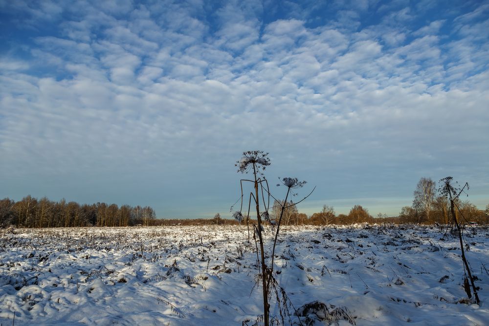 Photograph by Наталья Колеватова