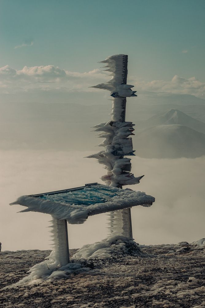 Фотография автора Мария