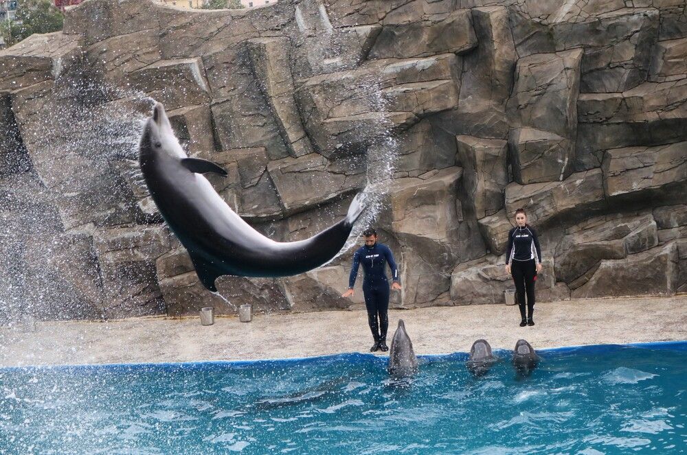 Photograph by Лариса Ременьчик