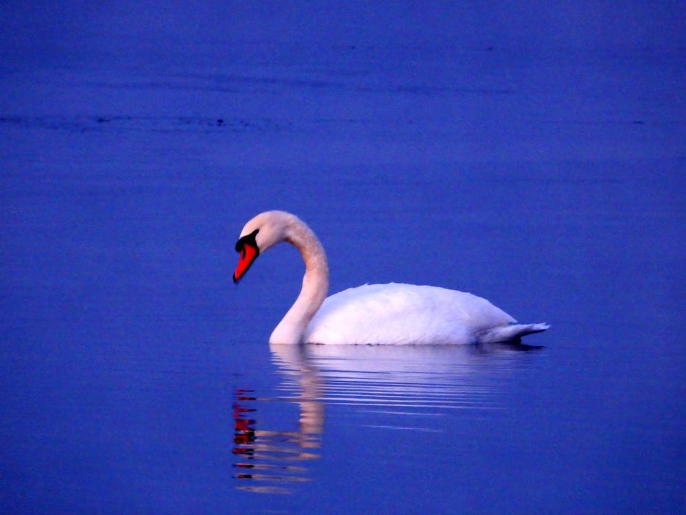 Photograph by Александр Шаварин