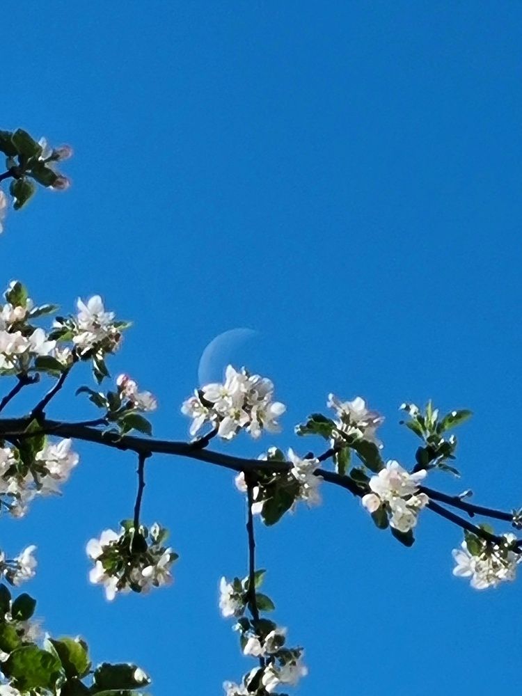 Photograph by Александр Шаварин