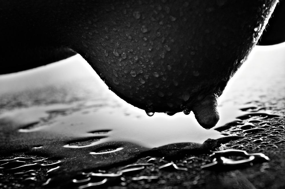 Фотография автора Алексей Воронцов