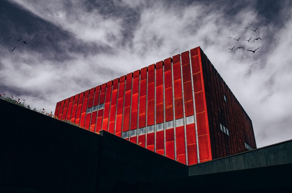 Photograph by Muhammed Diler