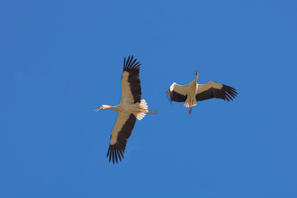 Photograph by Алексей Егоров