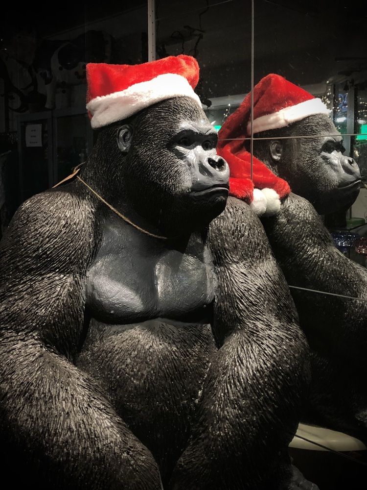 Photograph by Valentina Jegorova