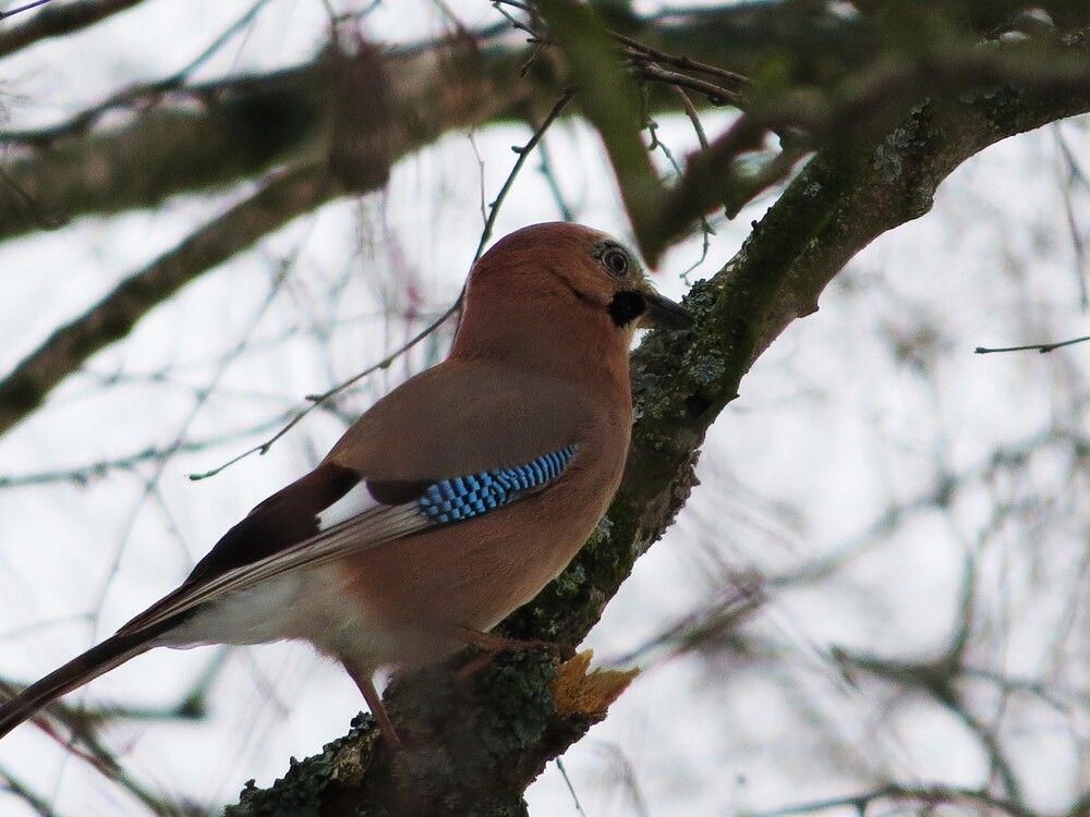 Photograph by Лариса Басова