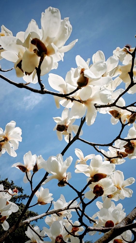 Photograph by Наталья Веряскина