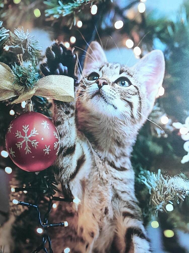 Photograph by Виталий Глазачев