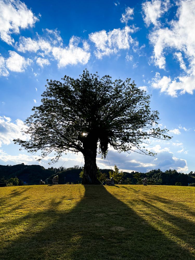 Photograph by KOHAGI