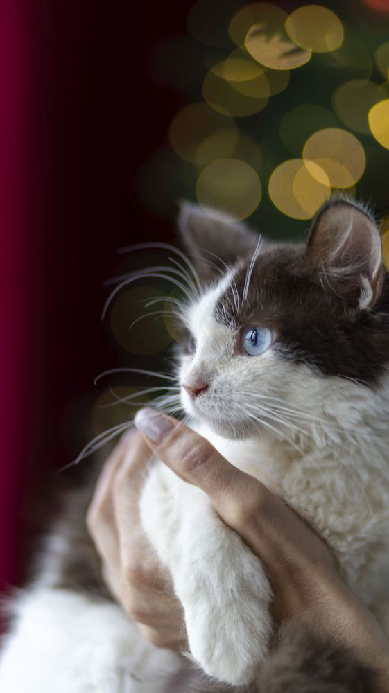 Фотография автора Татьяна Федченко