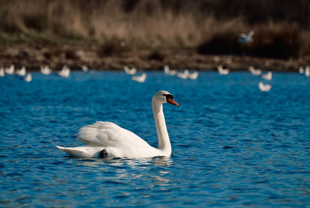 Photograph by Константин Громов