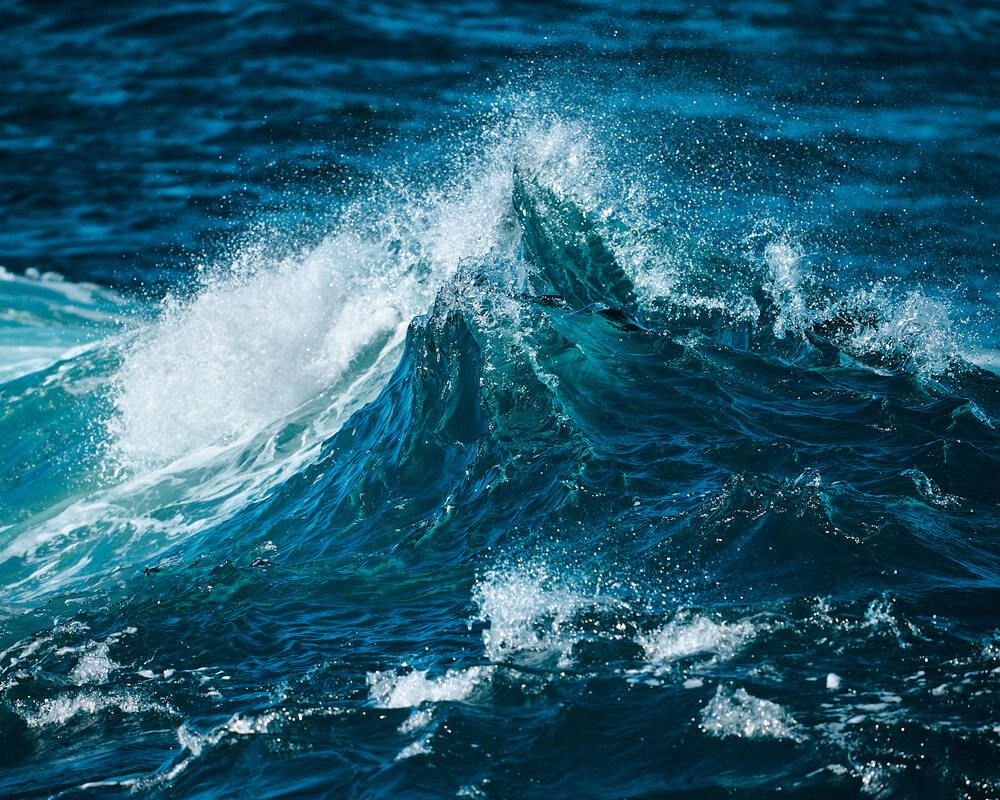 Photograph by Natalie Liedtke