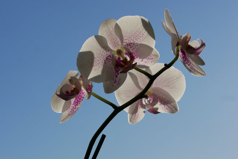 Photograph by Владимир Лобанов