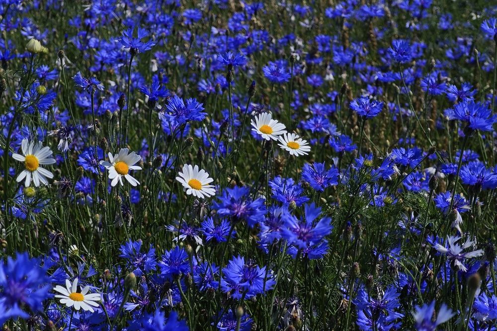 Photograph by Валерий Гудков