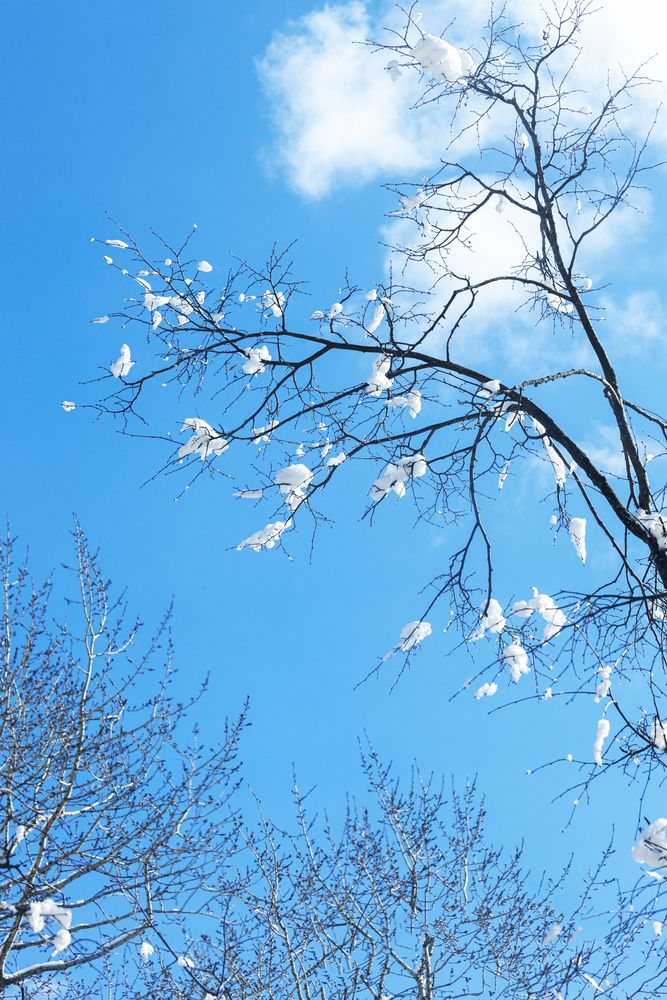 Фотография автора Баронов Фёдор