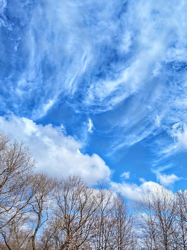 Photograph by Любовь Колмакова