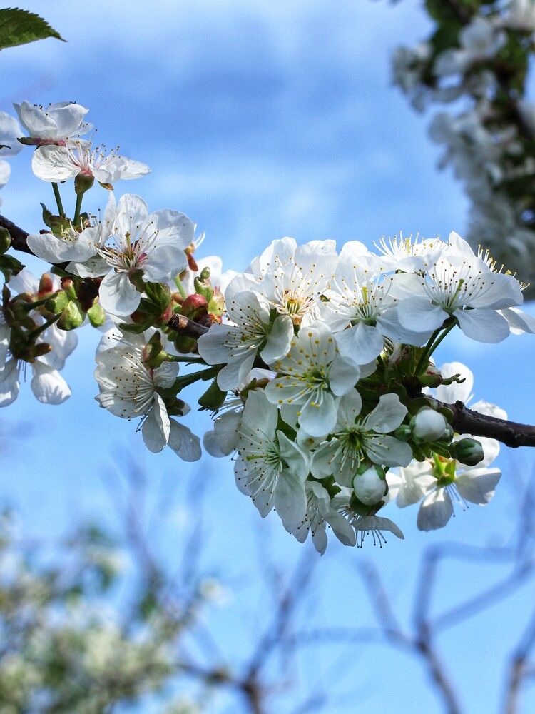 Photograph by Любовь Колмакова