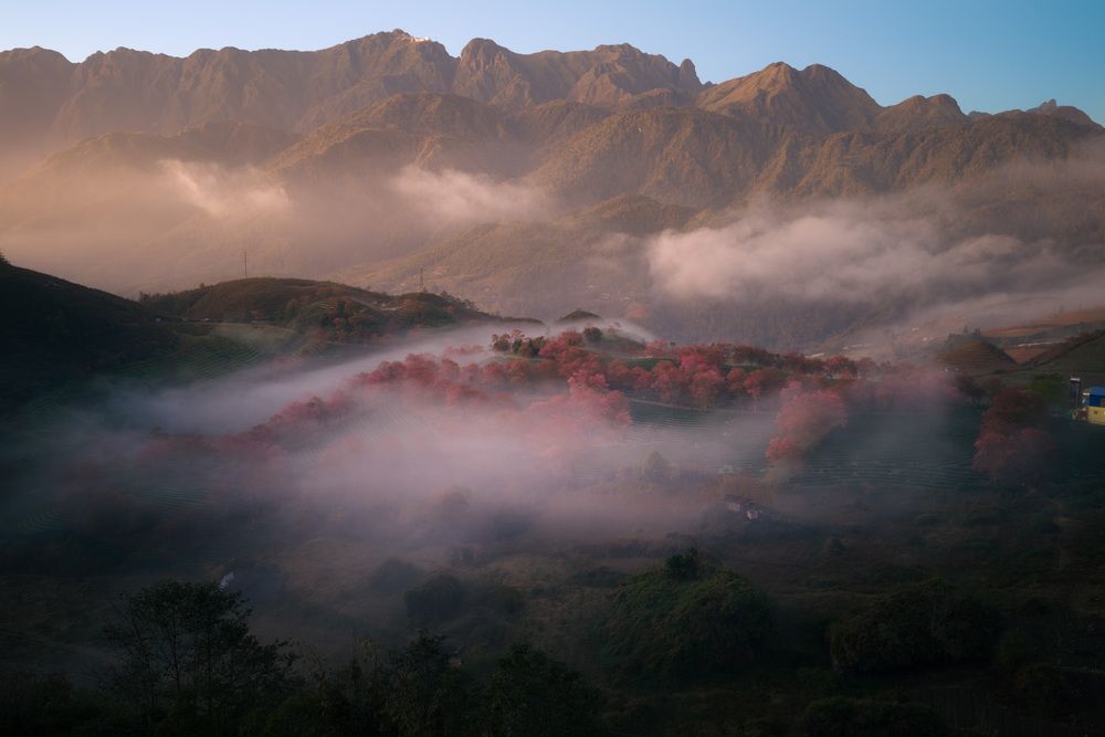 Photograph by Quang Steven