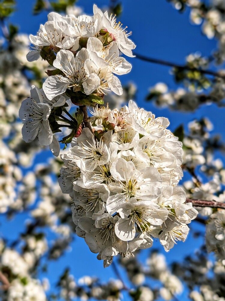 Photograph by Любовь Колмакова