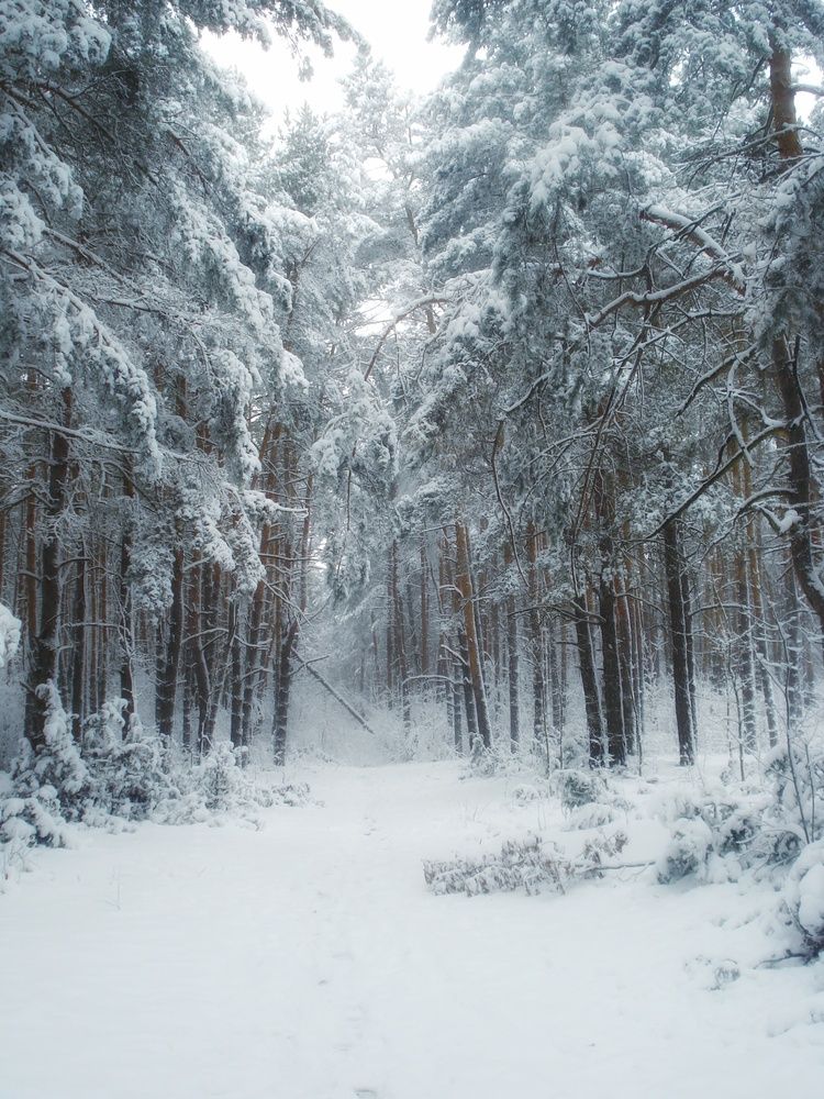 Photograph by Эмма Астапова