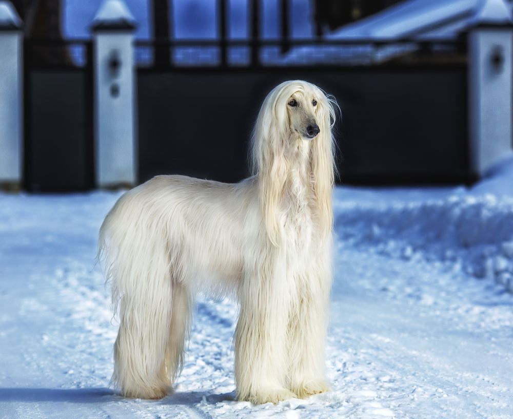 Photograph by Ольга Софронова