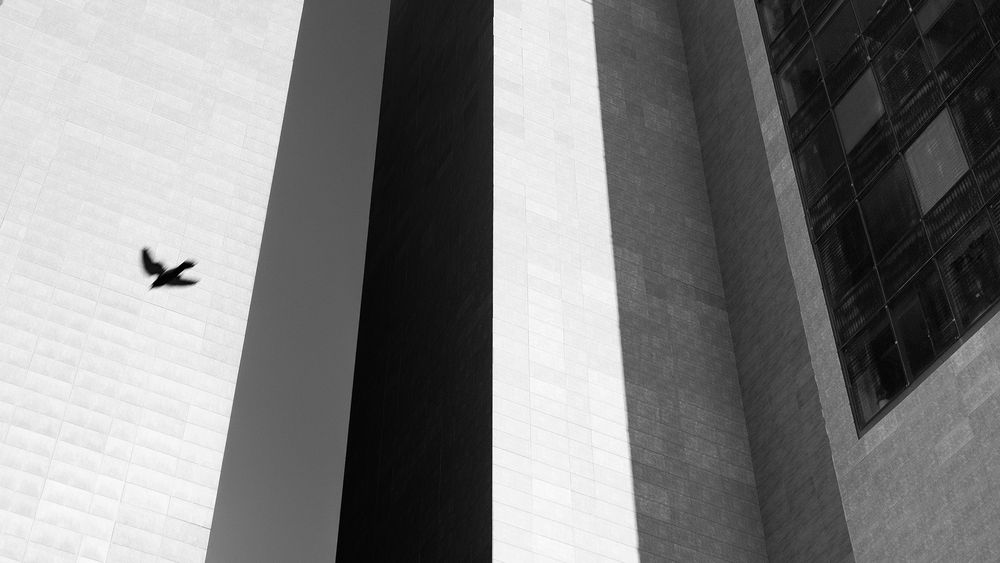 Photograph by seyed mostafa yousefi