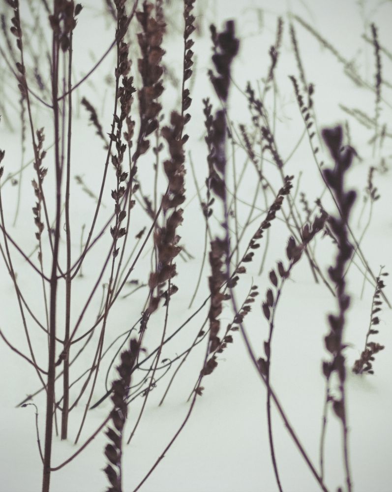 Photograph by Наталья Смирнова