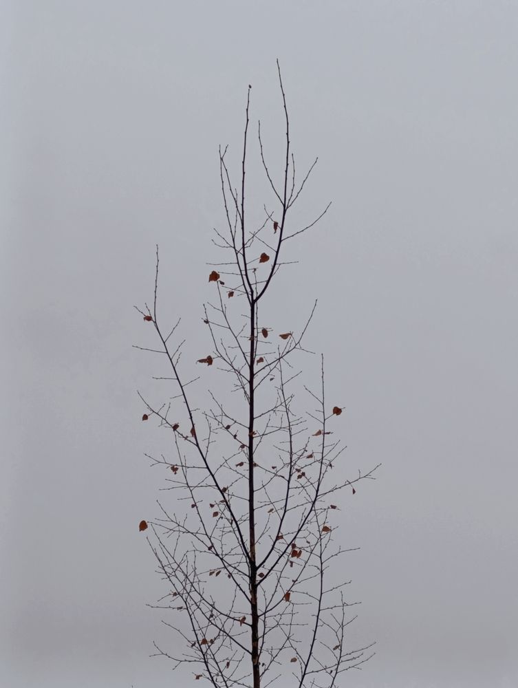 Photograph by Наталья Смирнова