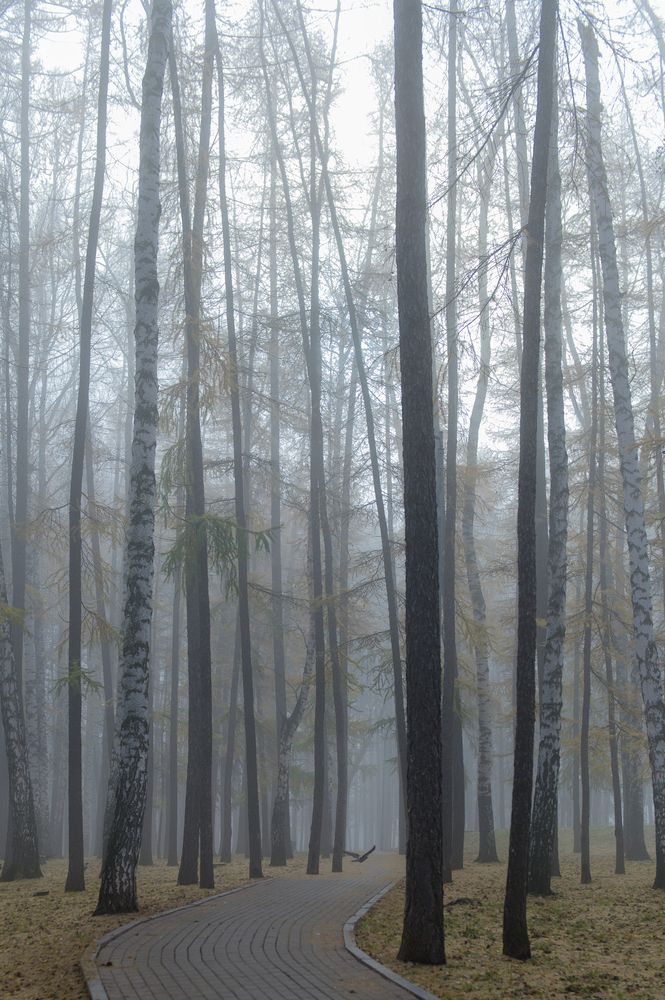 Photograph by Наталия Брянцева