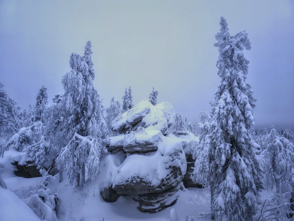 Фотография автора Анна Семенова