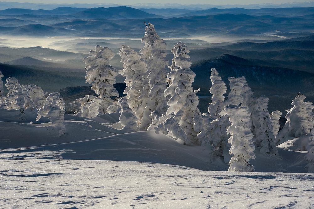 Photograph by Пешков Валерий