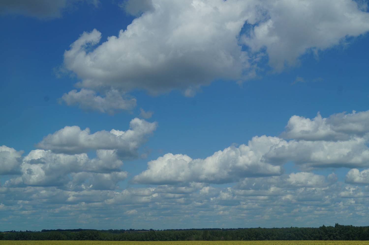 Photo #12984872