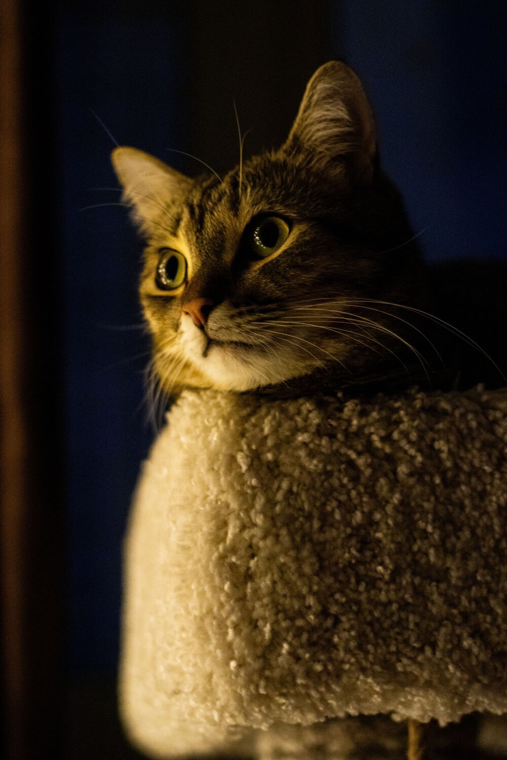 Photo #12984901