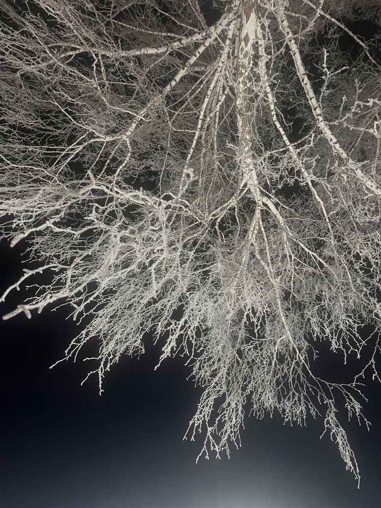 Одним сибирским утром