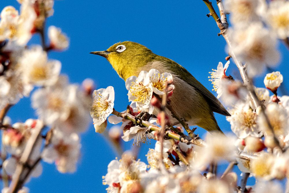 Photograph by iwamoto Reina