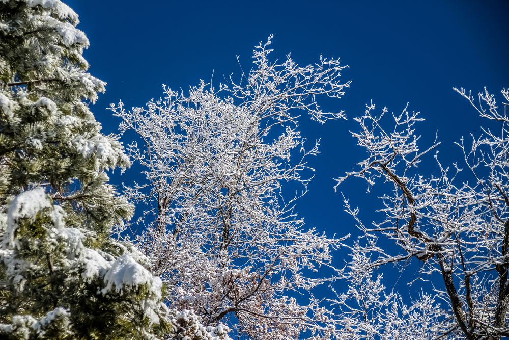 Фотография автора vanessa elbin